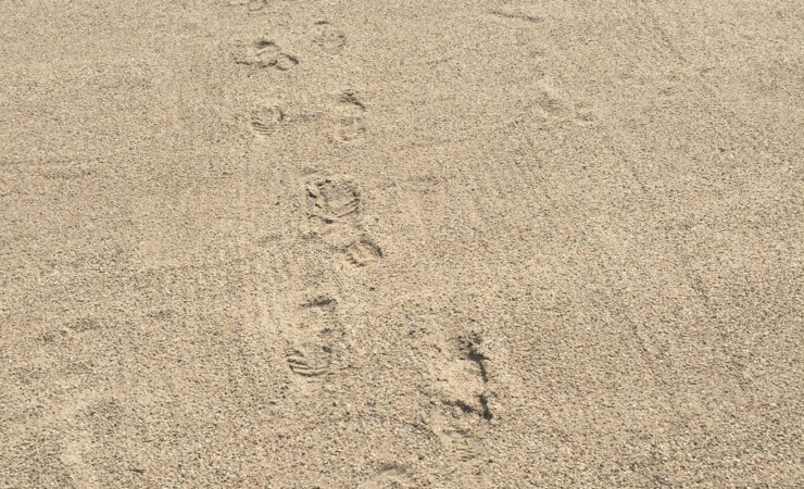 Deine Spuren im Sand…